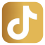 Tik_tok_Icono-removebg-preview